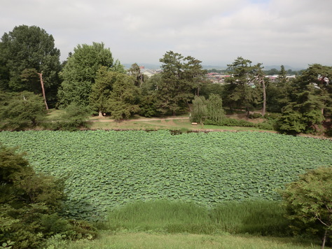 e0242504_17403437.jpg
