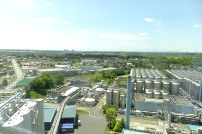 d0009105_8521580.jpg