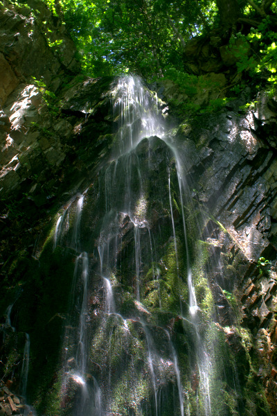 b0244811_2244288.jpg