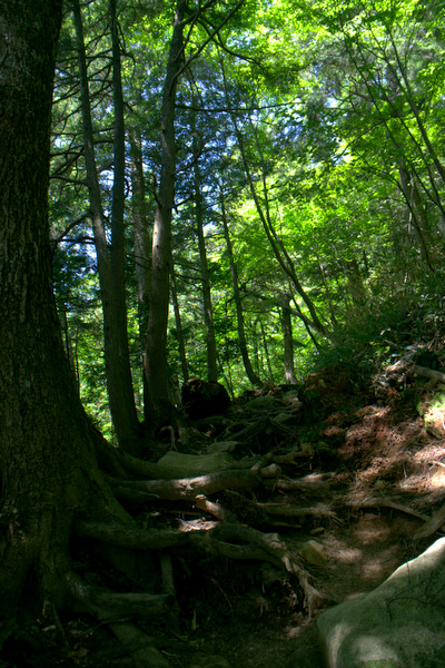 b0244811_22451256.jpg