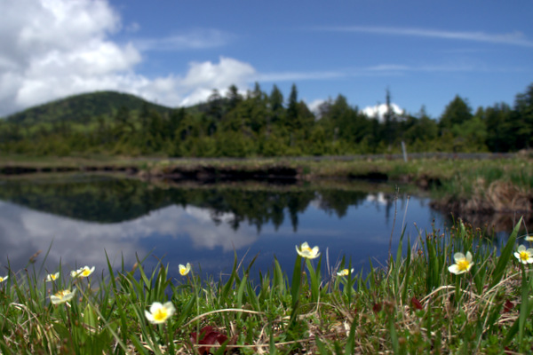 b0244811_22463782.jpg