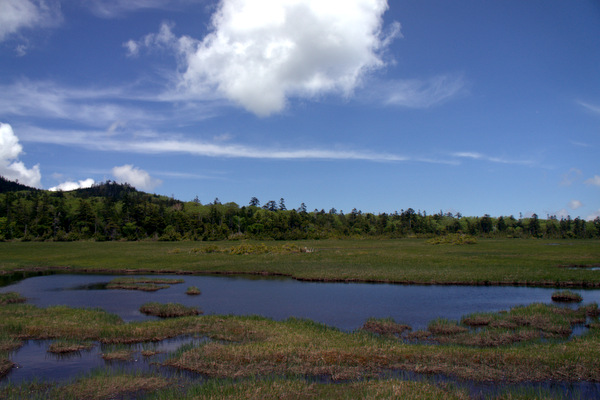 b0244811_22471780.jpg