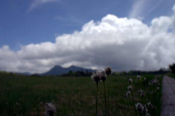 b0244811_22475298.jpg