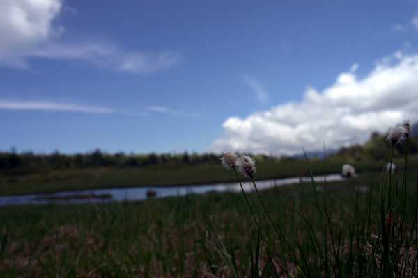 b0244811_22484340.jpg