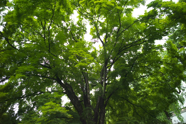 d0143011_2212083.jpg