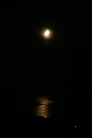 d0063314_21265353.jpg