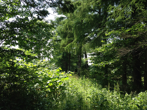 d0063314_21544915.jpg