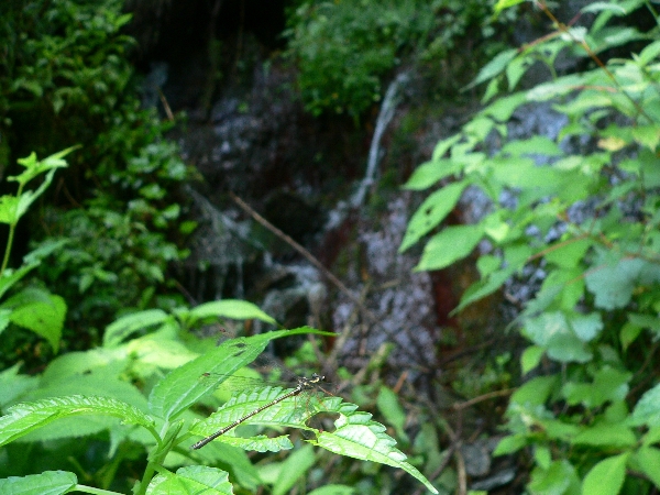 e0002314_214827.jpg
