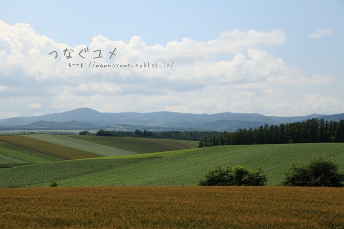 d0258417_19282690.jpg