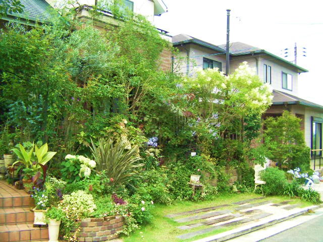 c0204121_1361955.jpg