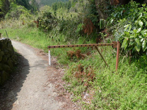 f0000521_5244057.jpg