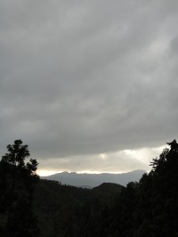 c0189724_2064189.jpg