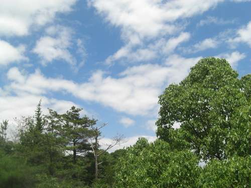 d0140625_1326524.jpg