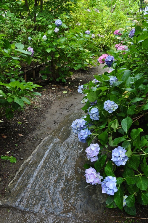 a0248728_2242864.jpg