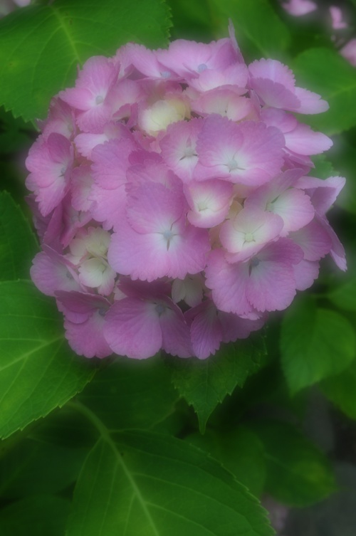 a0248728_22453198.jpg