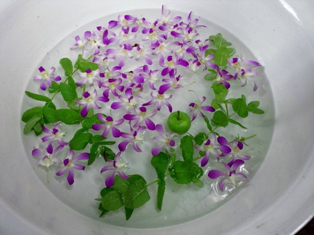 c0102228_1463690.jpg
