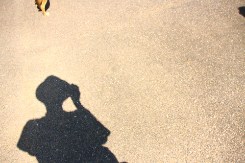 d0158028_20515022.jpg