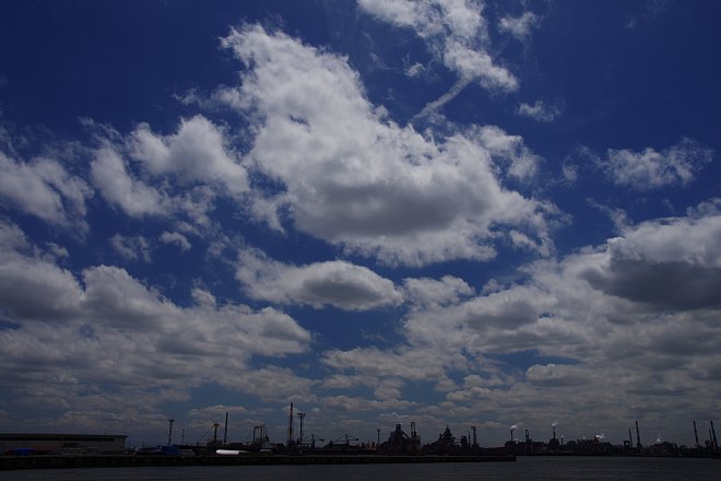 b0134829_19432898.jpg