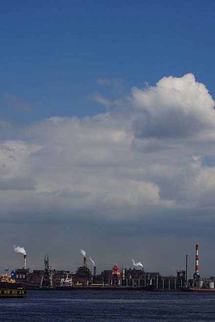 b0134829_19442997.jpg