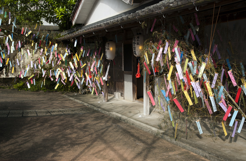 d0147530_7102210.jpg