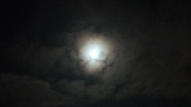 d0172830_046941.jpg