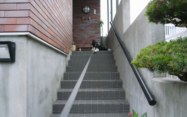 c0051132_2024286.jpg