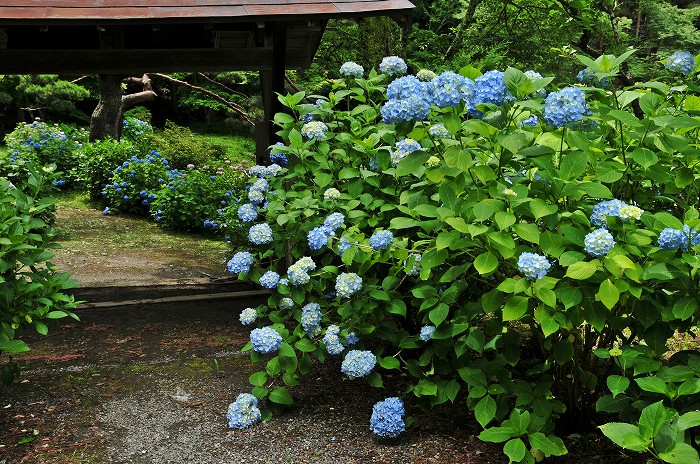 b0236334_20242969.jpg