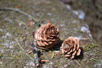 e0228938_1056116.jpg