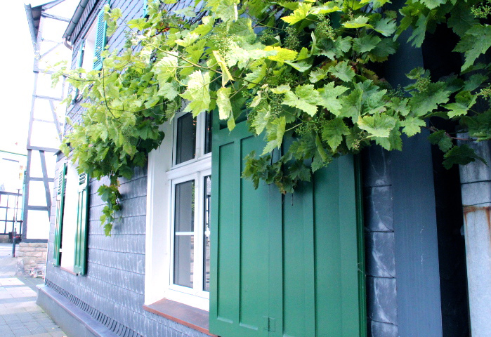 c0153740_3141495.jpg