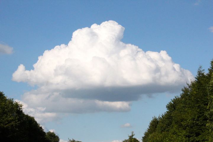 c0153740_3323928.jpg