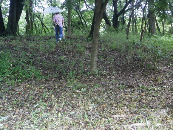 e0121548_18403555.jpg