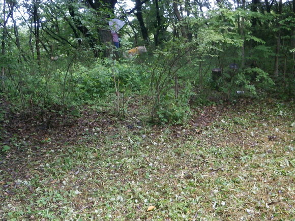 e0121548_18414963.jpg