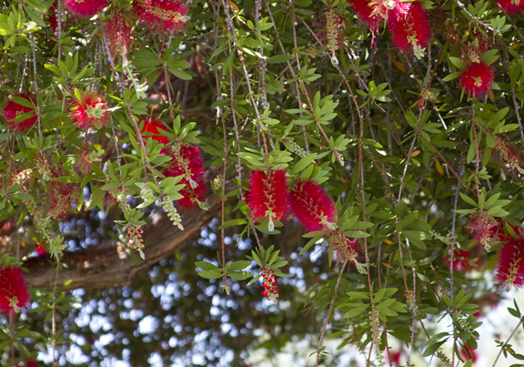 b0208652_816251.jpg