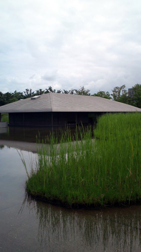 f0178153_2275771.jpg