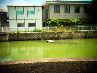 d0029958_20124717.jpg