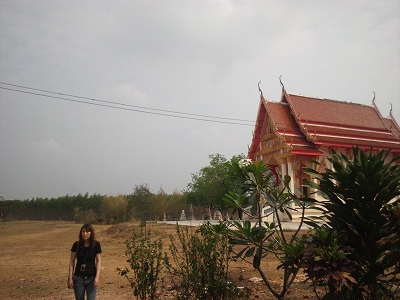 d0144077_1575420.jpg