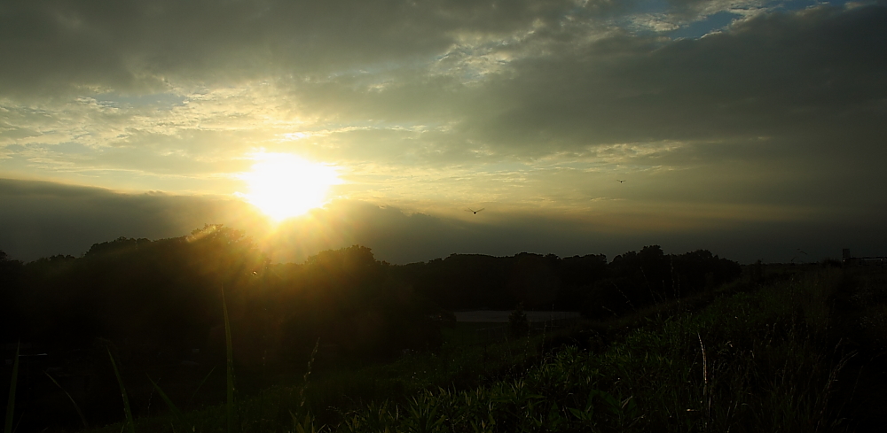 e0249878_21515062.jpg