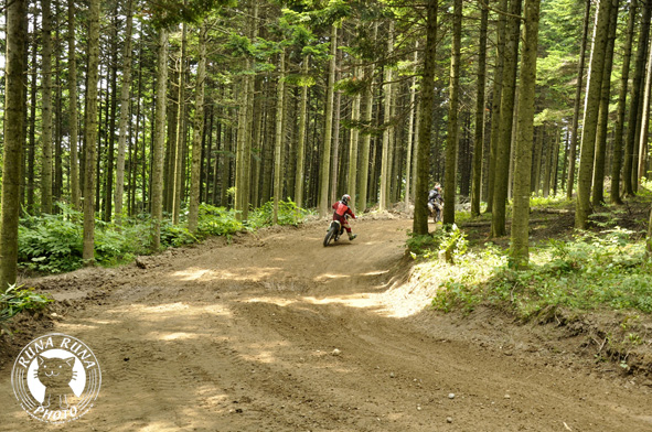 f0210380_1936450.jpg