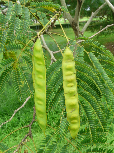 e0145782_19202397.jpg