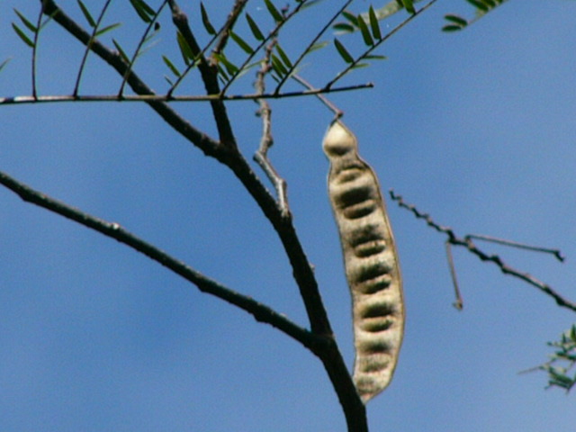 e0145782_1921978.jpg