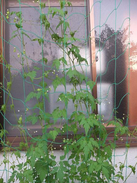 c0046587_2224137.jpg