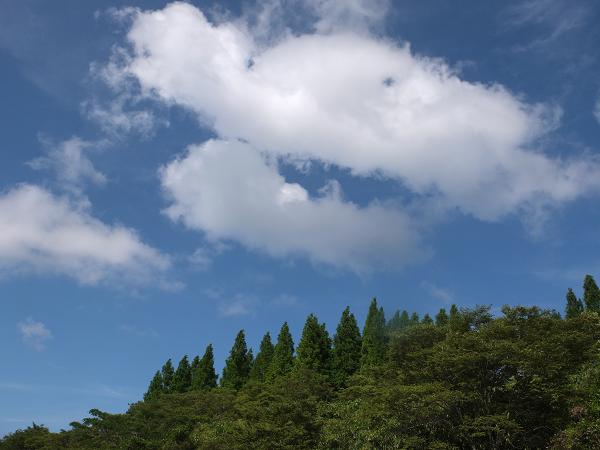 c0046587_22245110.jpg