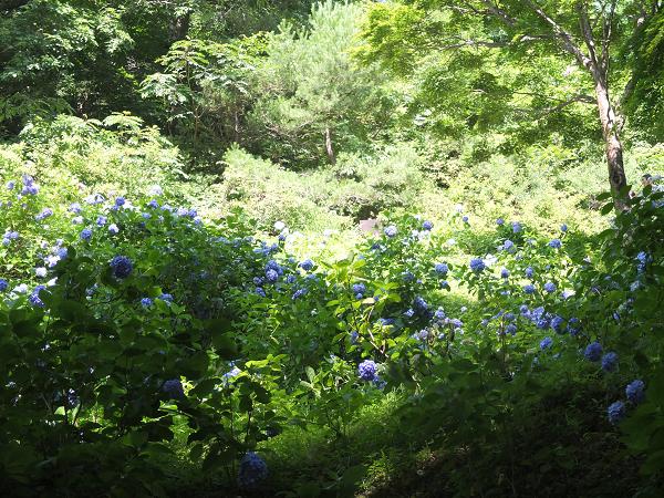 c0046587_22251986.jpg