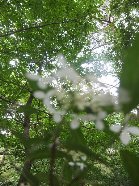 c0046587_2225220.jpg