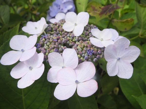 c0046587_2227399.jpg