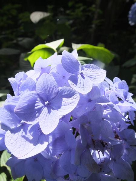 c0046587_22283865.jpg