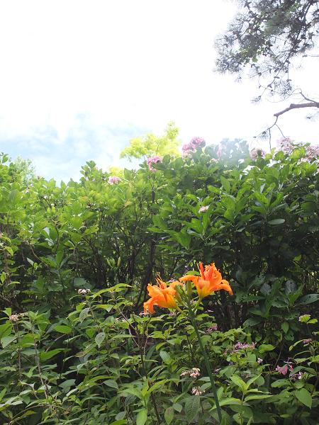 c0046587_22293731.jpg