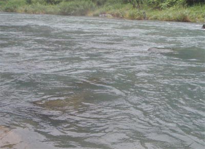 c0146788_19211919.jpg
