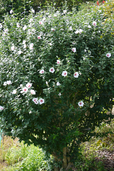 f0222692_18513932.jpg