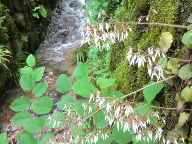 b0044296_23175212.jpg